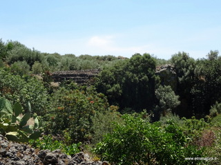 ndolito-21-06-2017 11-38-15